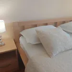 Zulim 1 *