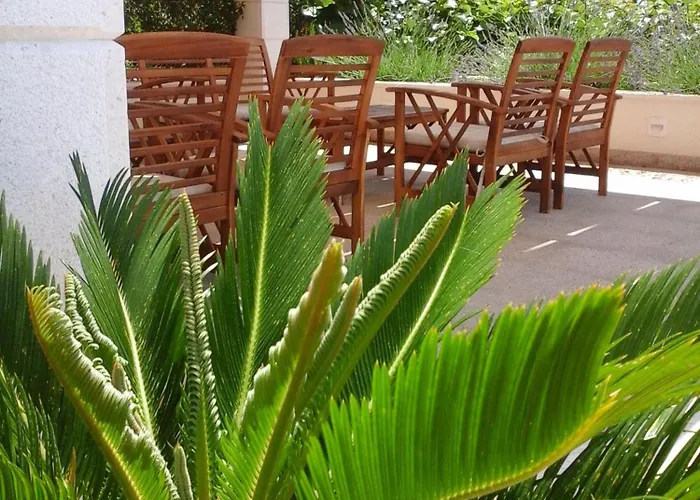 Zulim 1 * 特罗吉尔